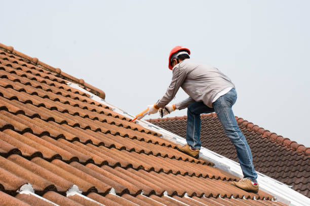 Best Asphalt Shingles Roofing  in Dillon, SC